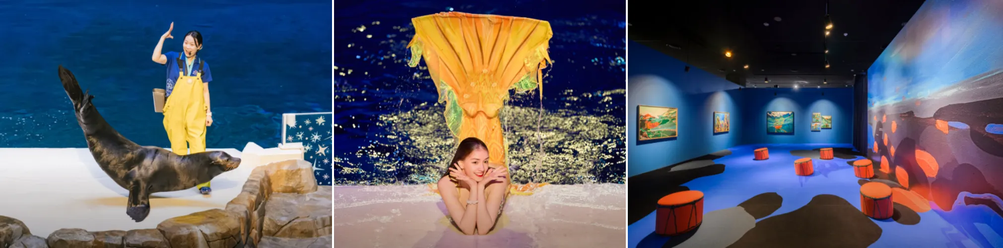 제주 아쿠아플라넷 오션 아레나 무대