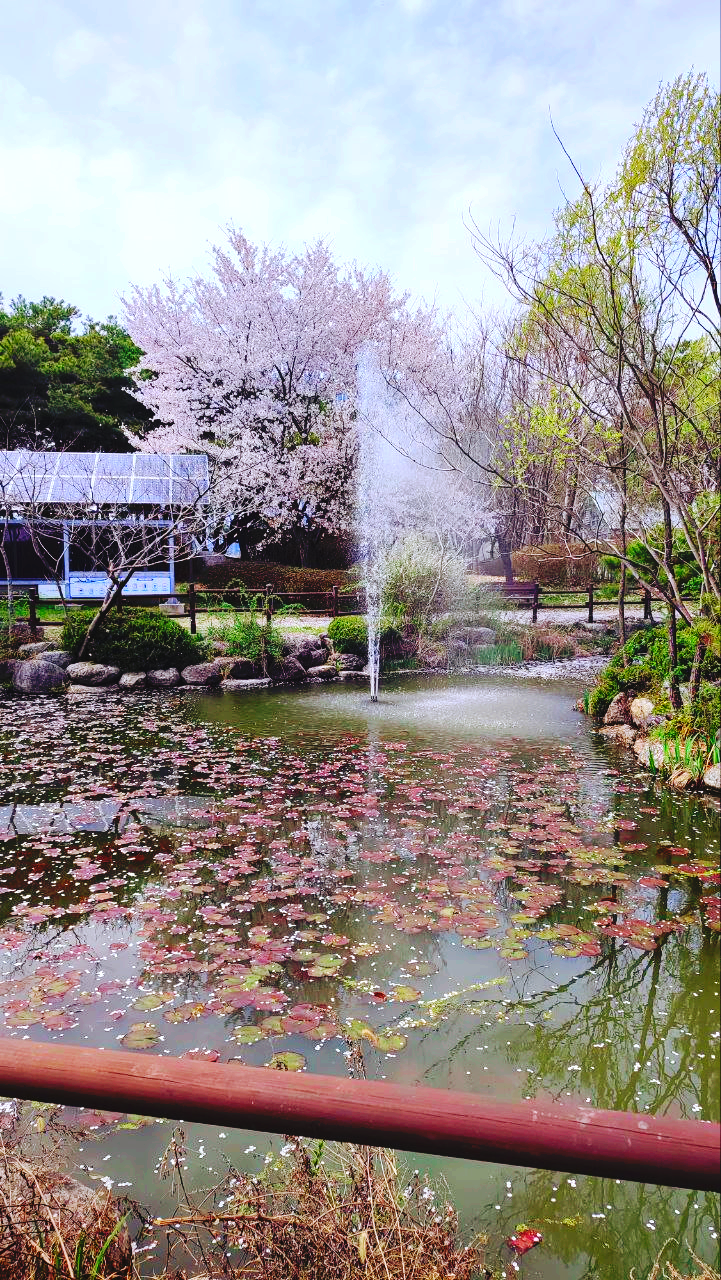 안산갈대습지공원