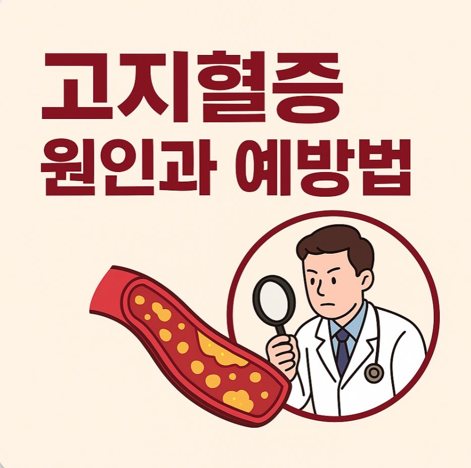 고지혈증 원인과 예방법
