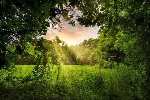 우리 사이의 거대한 산 The Mountain Between Us 영화_4