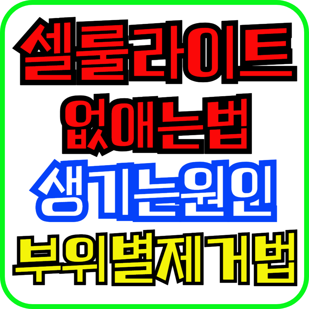 셀룰라이트없애는법