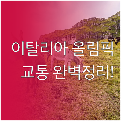 2026 이탈리아 동계올림픽 관람객을..