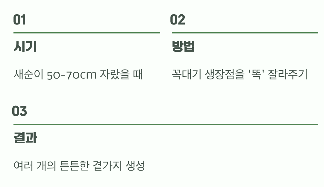 여름의 약속, 첫 번째 이발 (순지르기)