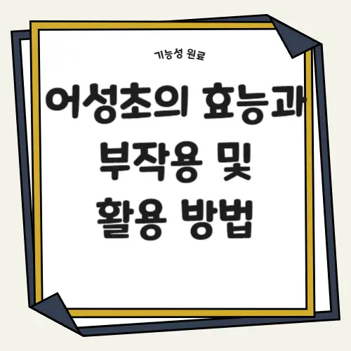 어성초의 효능과 부작용 및 활용 방법 썸네일