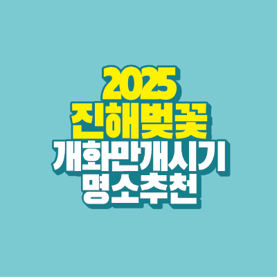 2025-진해-벚꽃-개화-만개-시기-명소-추천