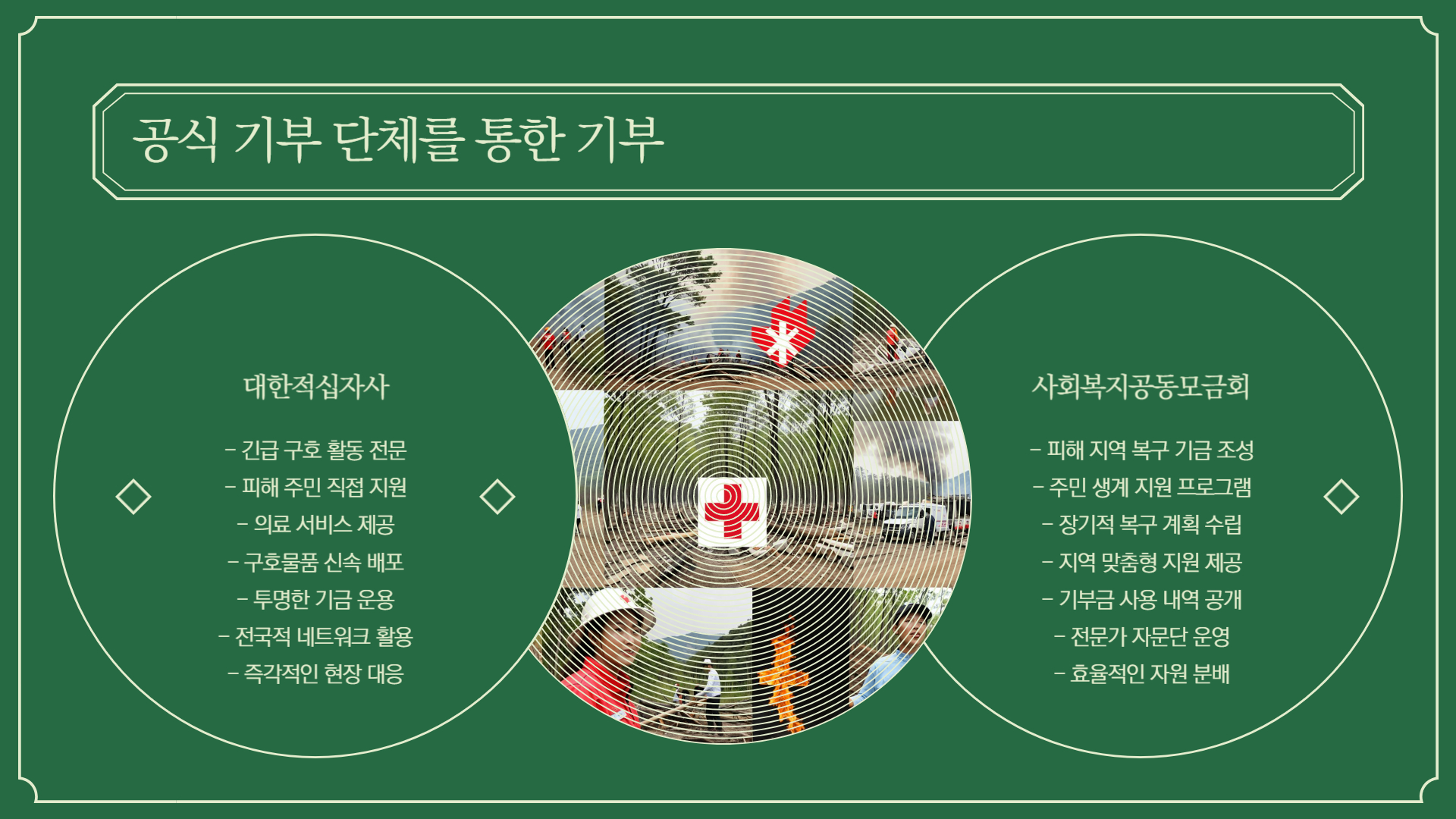 산불 피해를 돕는 기부 방법 5가지