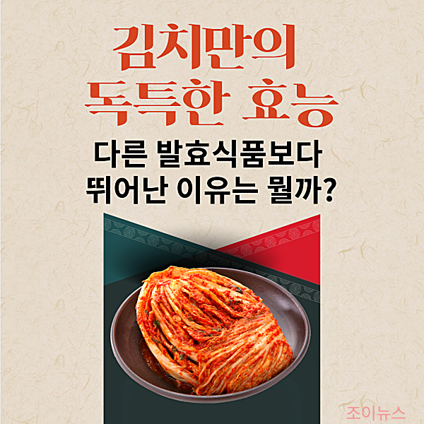 김치의 효능, 다른 발효식품과 차별화되는 이유