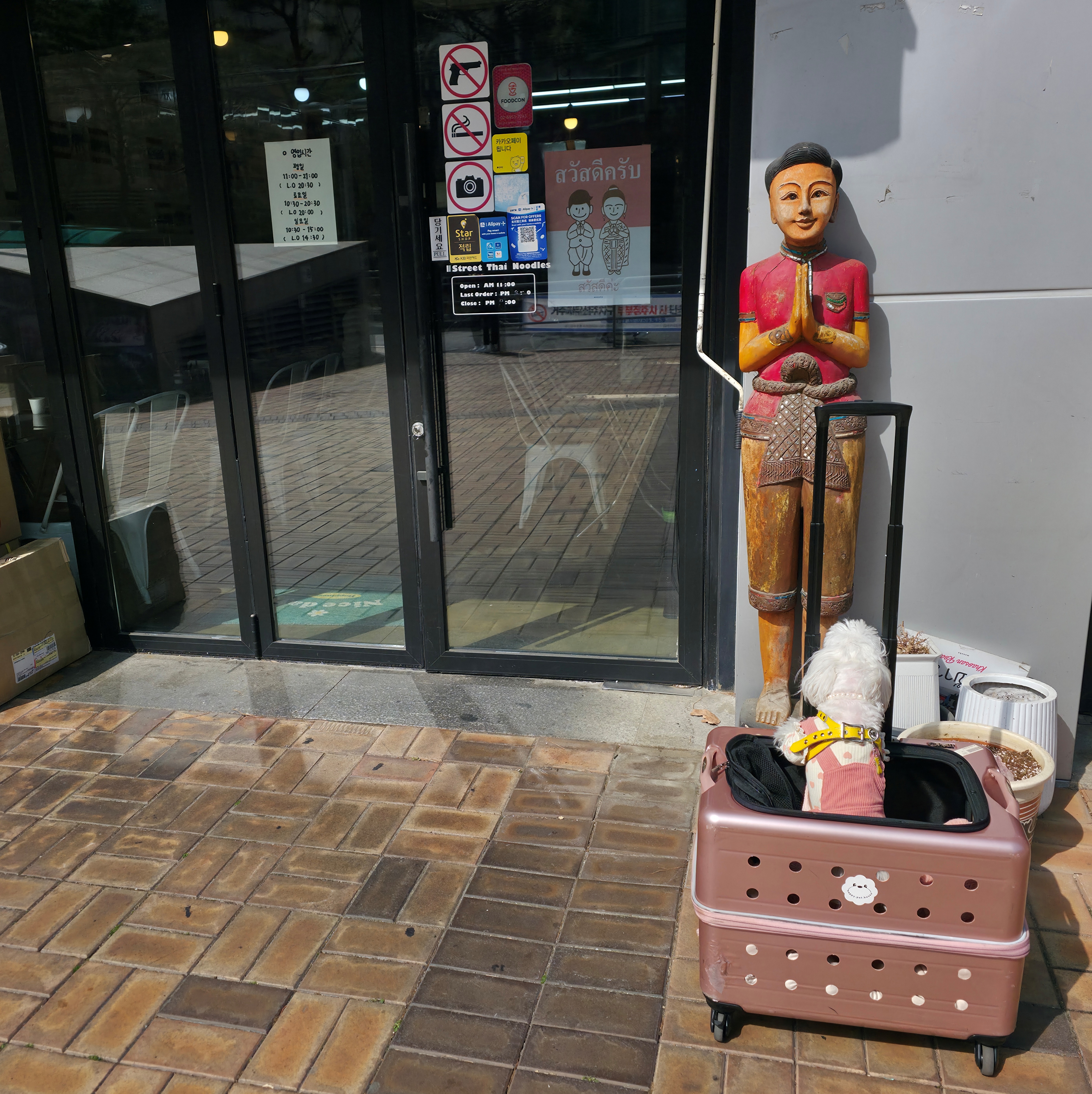 반려견 동반 식당 빅소이