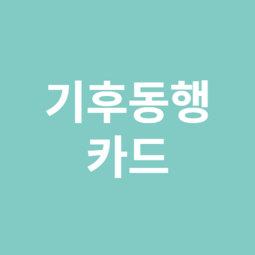 기후동행카드