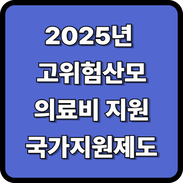2025년 고위험 산모 의료비 지원 알아보세요.고위험산모질병코드,19대고위험산모