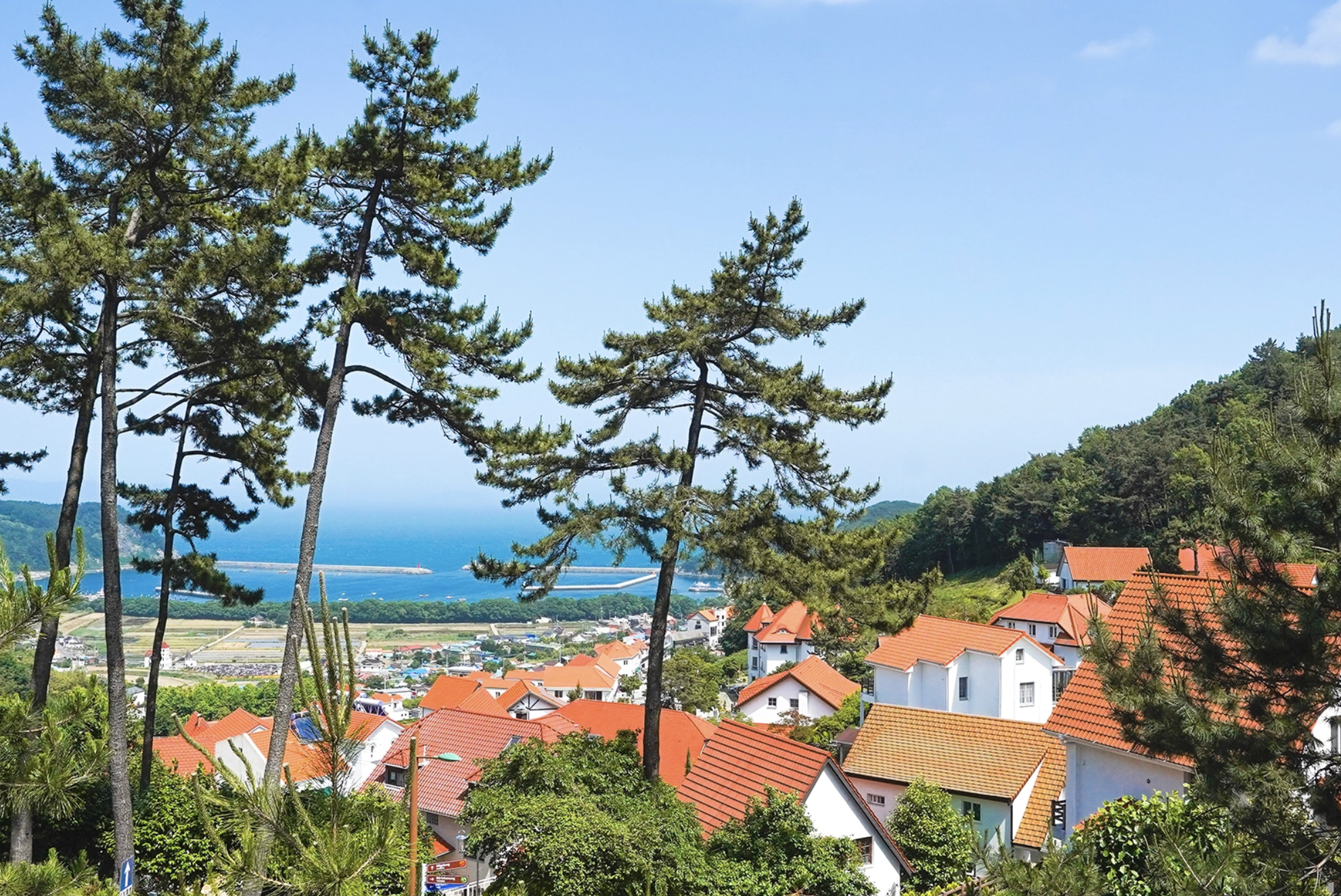 독일마을의 역사: 이국적인 마을의 탄생