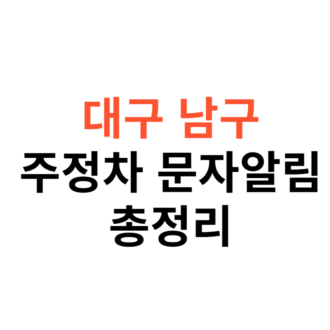 대구 남구 주정차