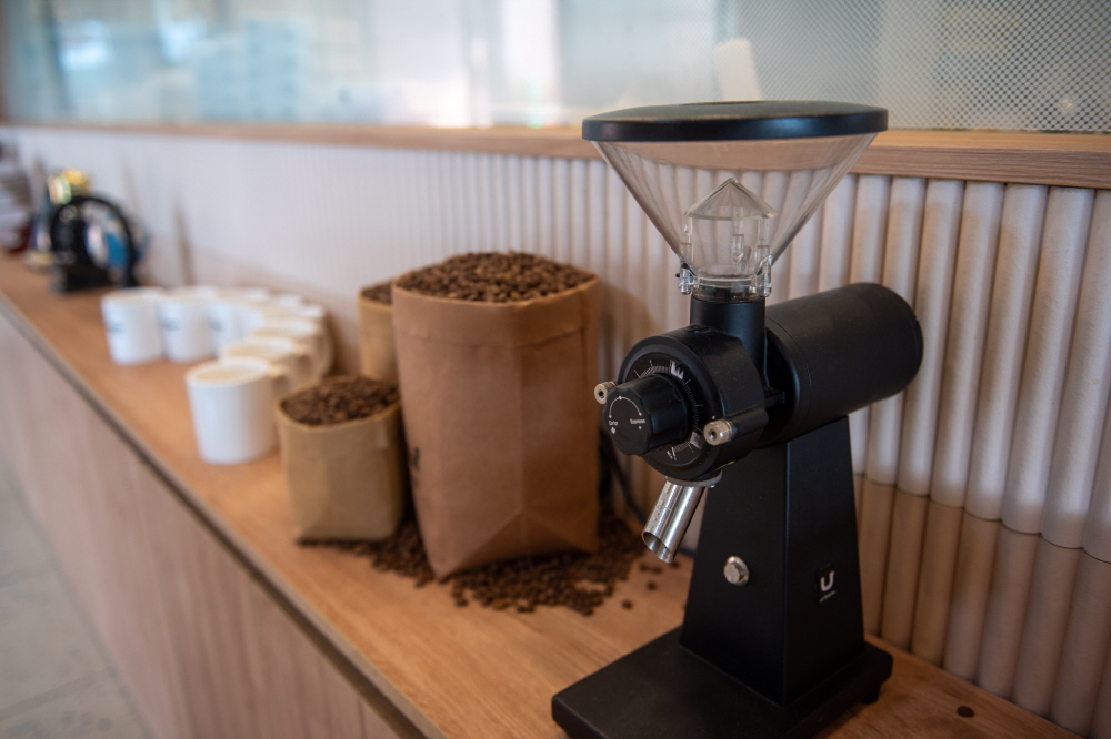 이천 카페 추천 - 베이커리 카페 아르보르