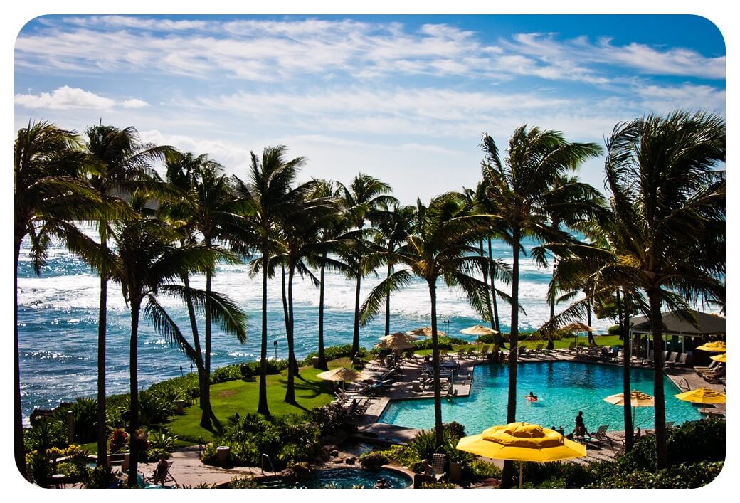 터틀-베이-리조트-수영장-야자수-바다-풍경-사진