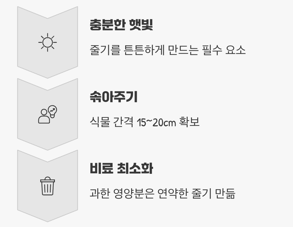 쓰러지지 않는 튼튼한 줄기 만들기