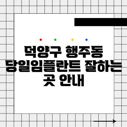 덕양구 행주동 당일임플란트 잘하는 곳 안내