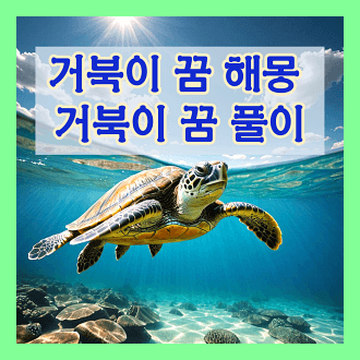 거북이 꿈 해몽 및 거북이 꿈 풀이