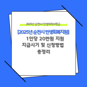 민생회복지원금