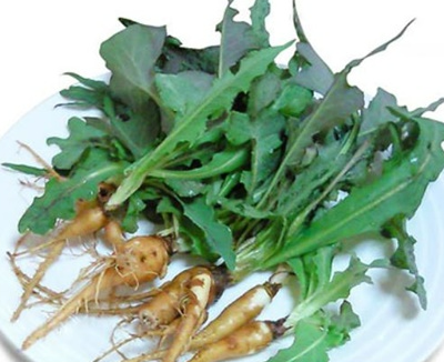 3월에 먹으면 좋은 제철 음식(봄철 음식) - 씀바귀편 (효능, 씀바귀가 들어가는 음식)