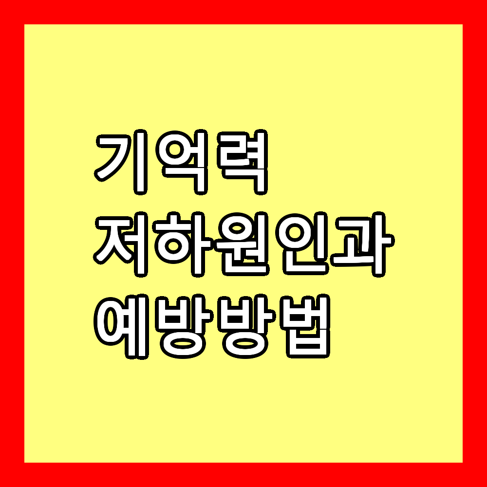 기억력 저하 원인 예방