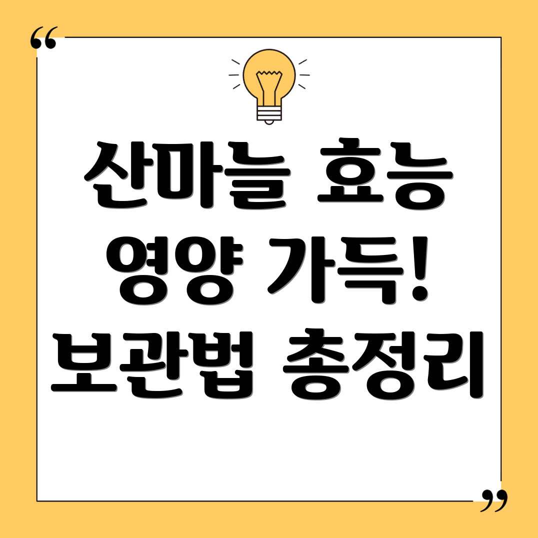 산마늘