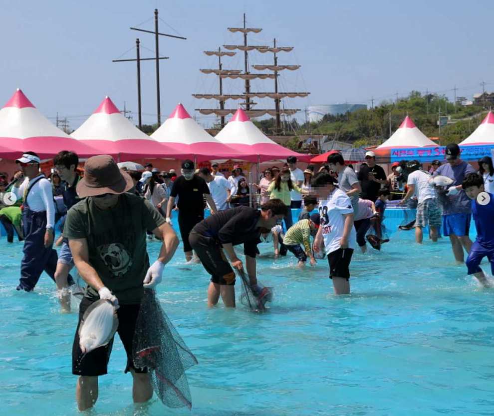 서천 자연산 광어 도미 축제 기본정보
