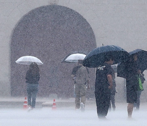 2024년 장마와 2025년 장마 비교