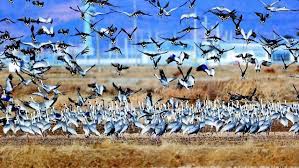 10월 경남 가볼만한곳 베스트