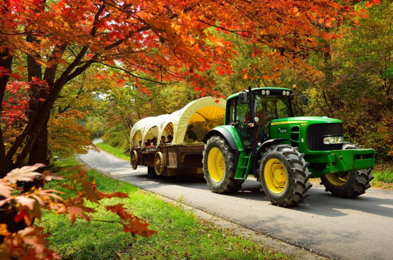 생방송투데이 대관령하늘목장 강원도 평창