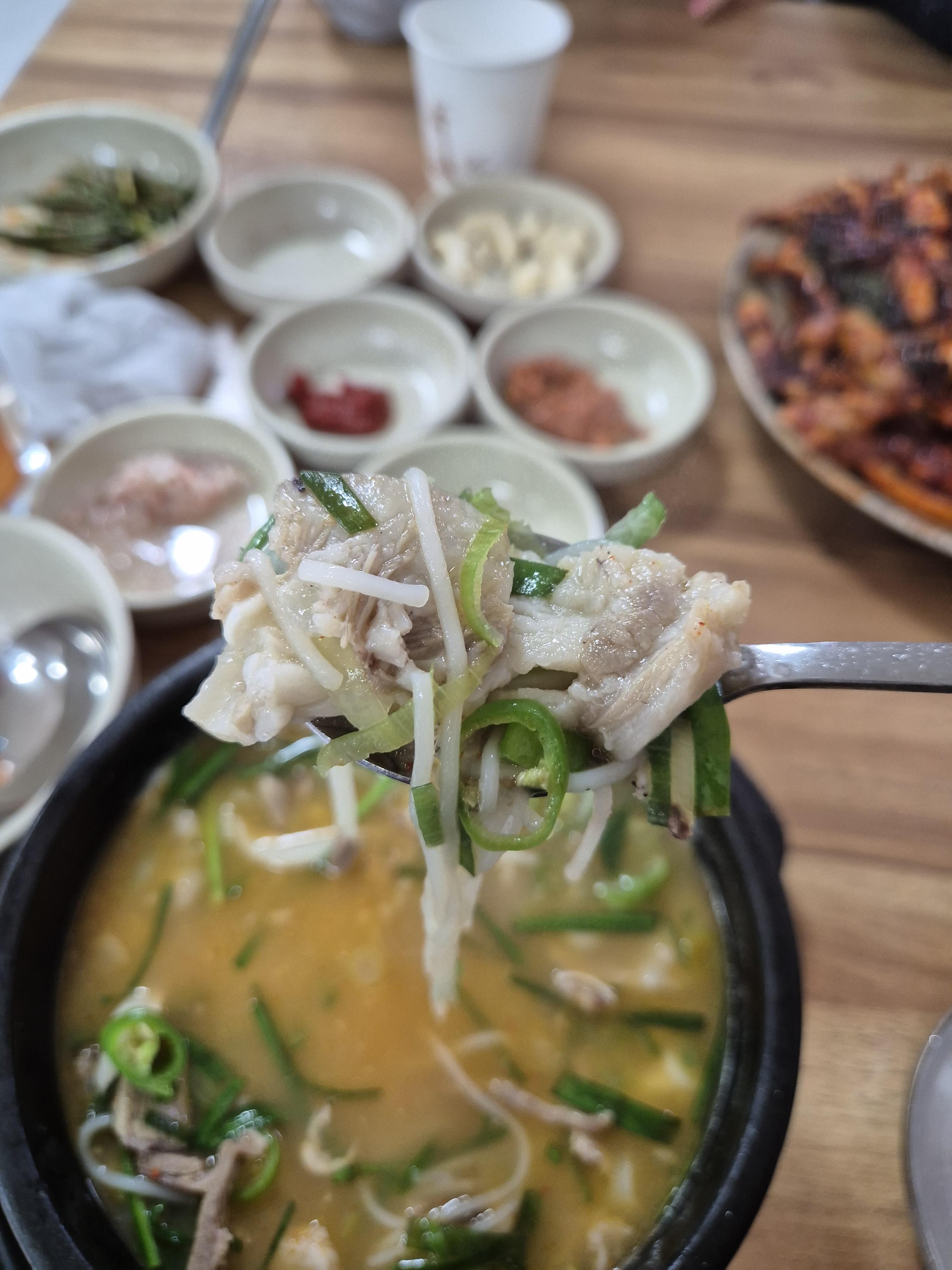 경주 현지인 맛집 경주단골식당