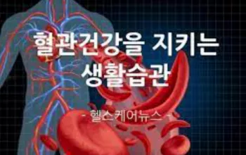 혈관건강