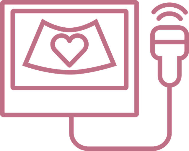 산부인과 초음파 그림