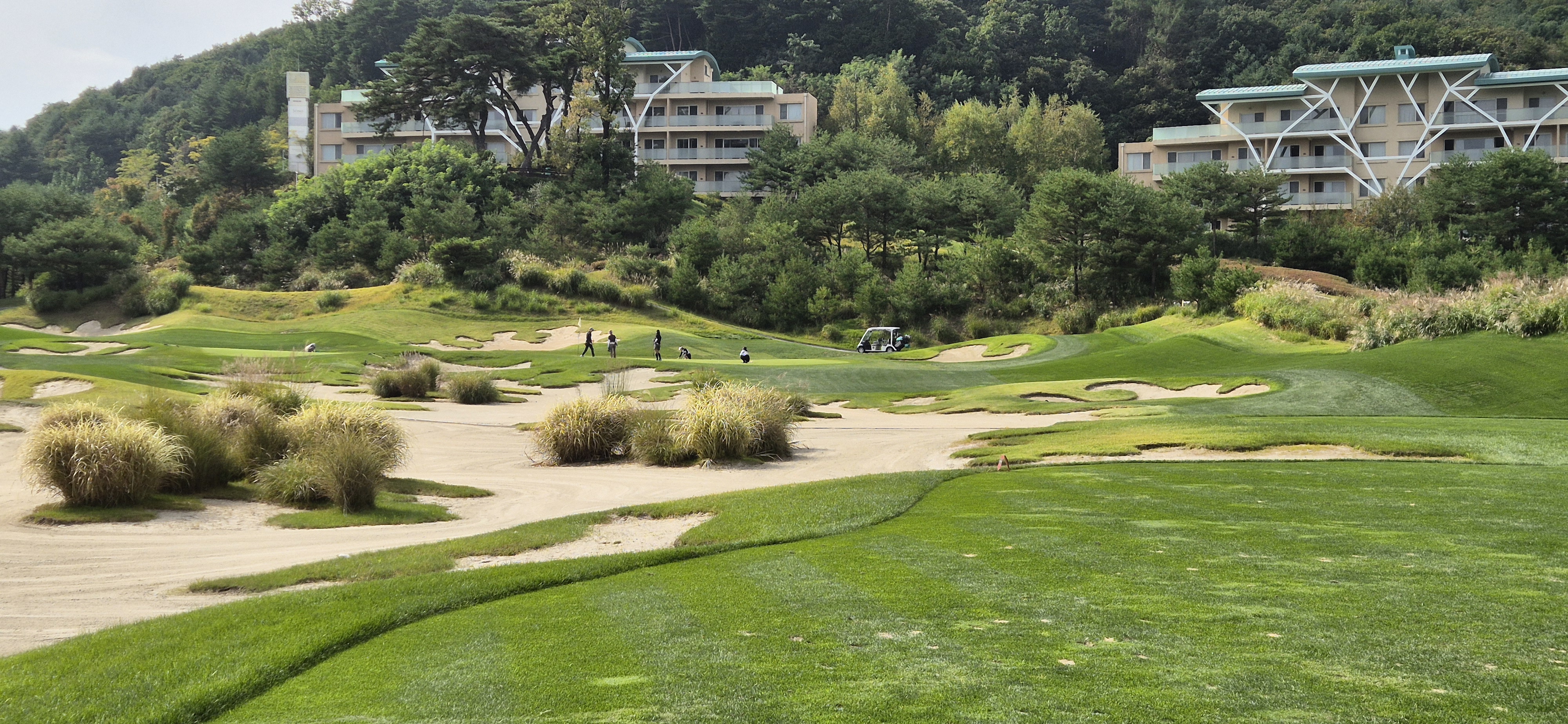 소노펠리체cc이스트