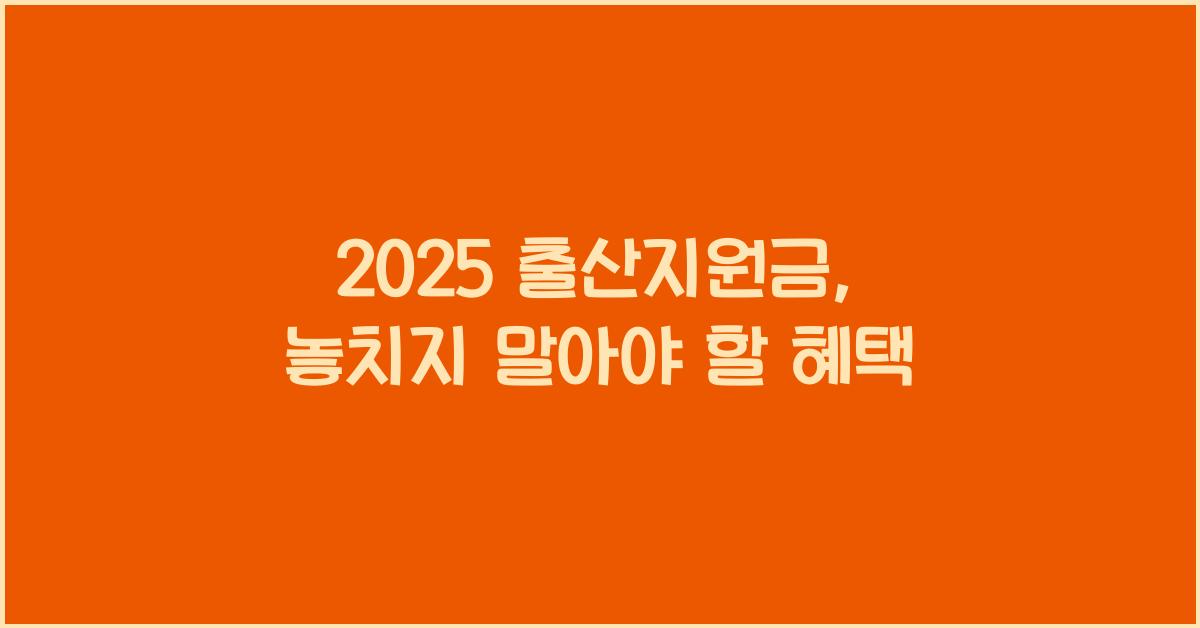 2025 출산지원금