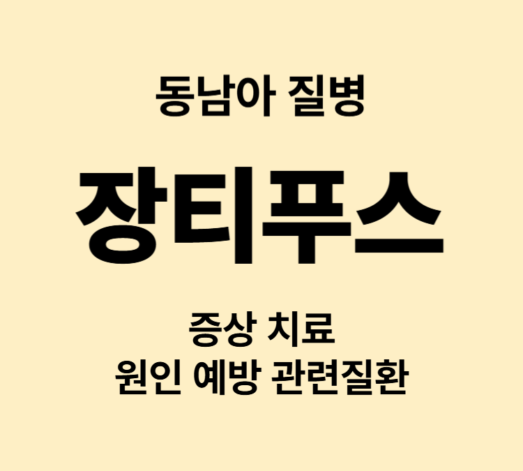 고열 복통 설사 기침 동남아 장티푸스 증상 항생제치료