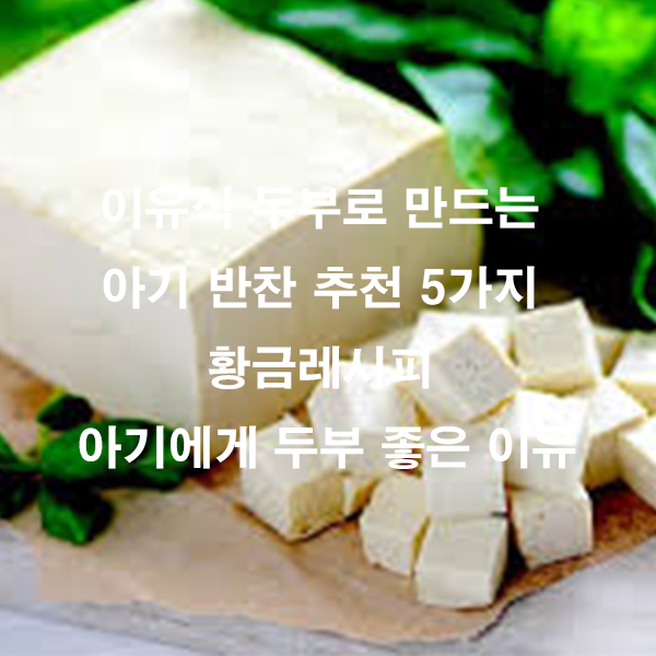 이유식 두부로 만드는 아기 반찬 추천 5가지 황금레시피 아기에게 두부 좋은 이유