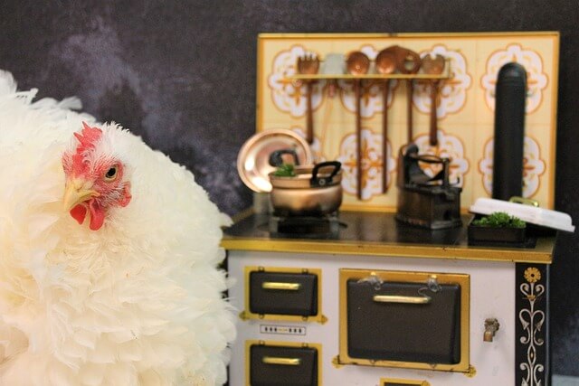 2024년 신년운세 닭띠 2월 쫙펴진 날개~