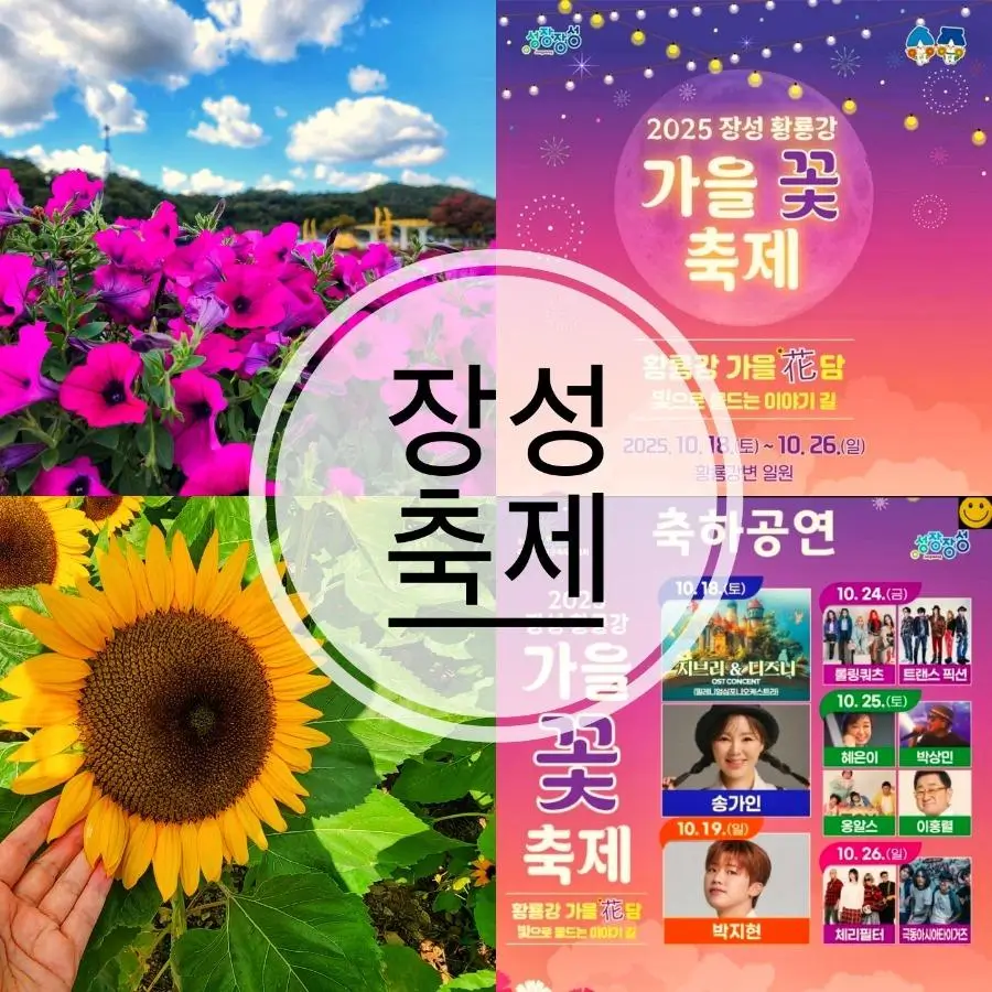 장성-황룡강-꽃-축제