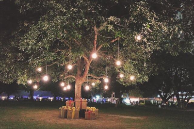 큰 나무에 멋지게 작동된 정원 등