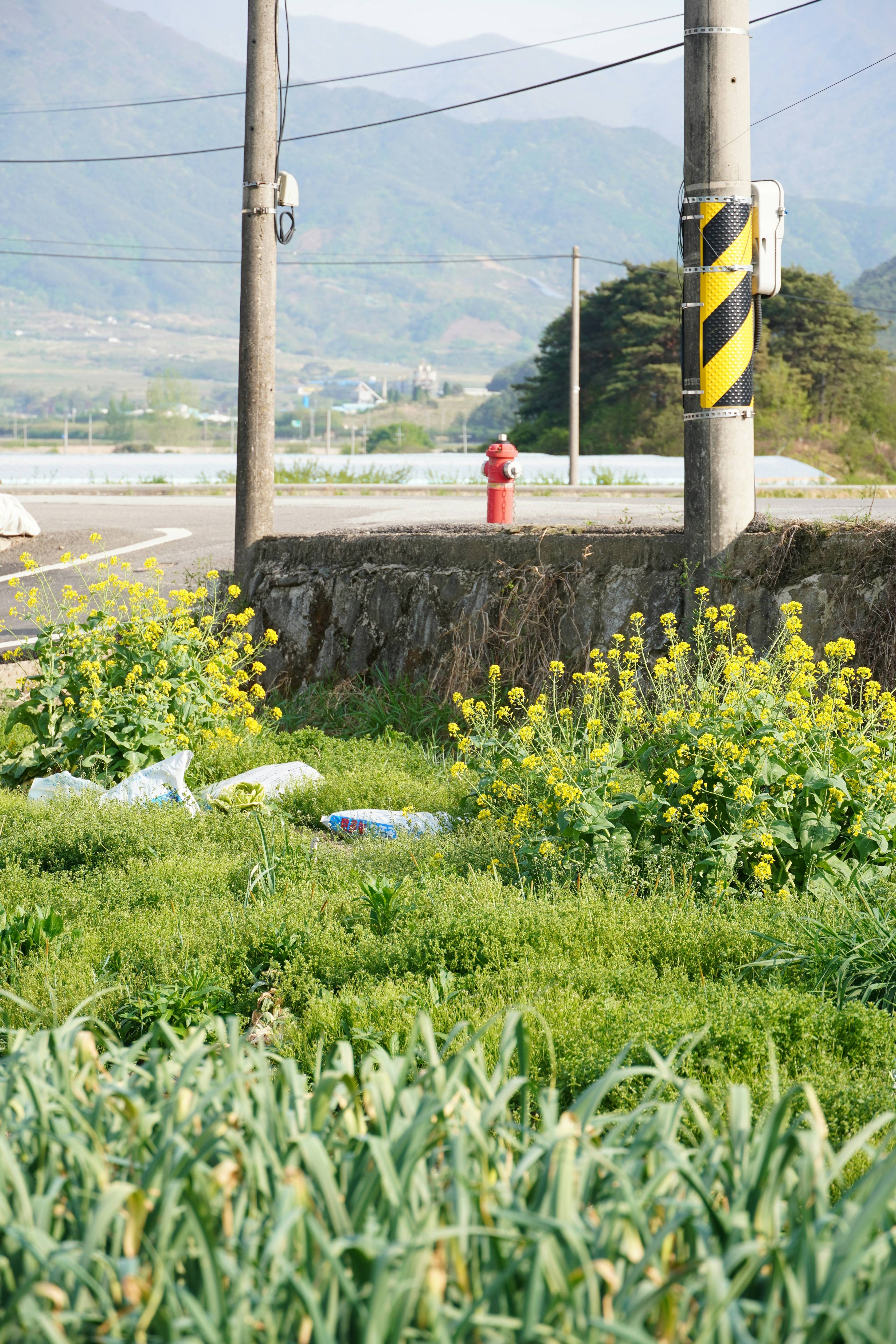 농촌 어촌 이미지