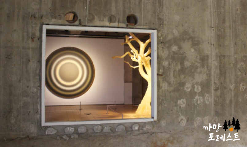 아라리오 뮤지엄 투어