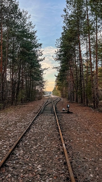 서울역-포항역 사이 운행 KTX 열차 시간표 운임 요금2