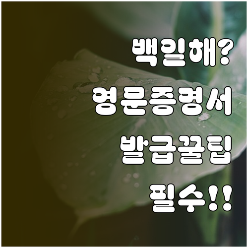 영문 백일해 예방접종 증명서 발급 꼭..