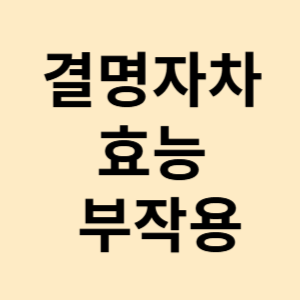 결명자차 효능 부작용