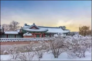 전통적인 문화와 지혜