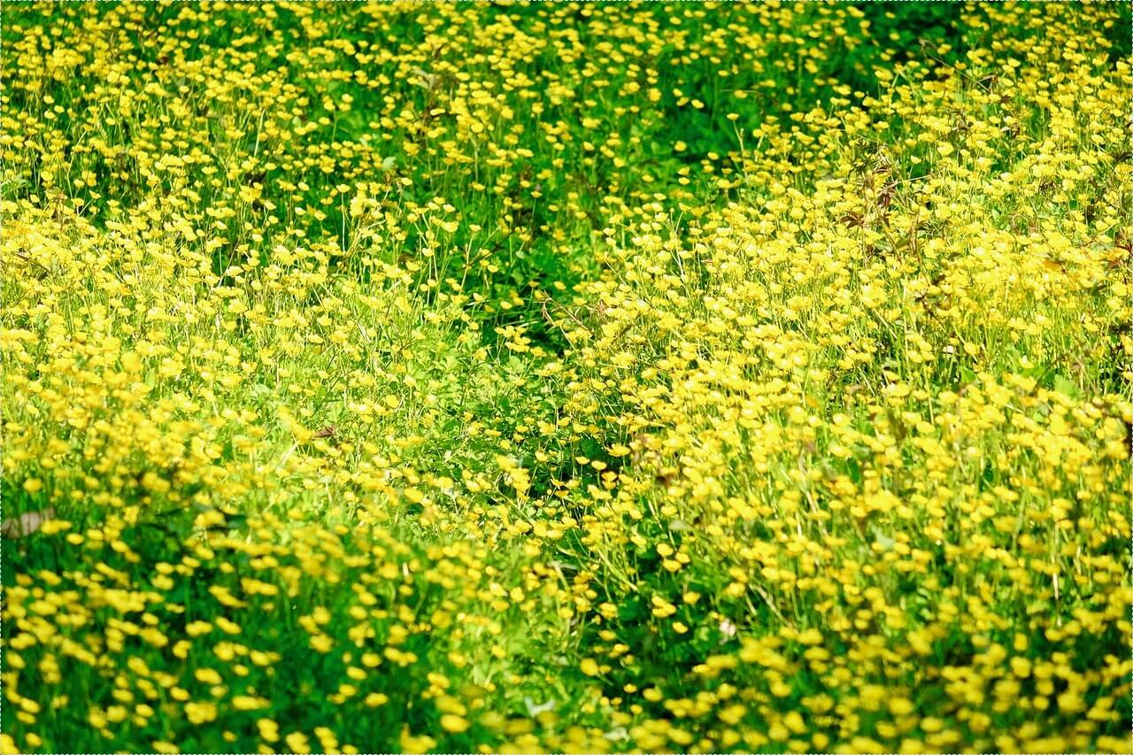 저축은행 정기예금 금리비교