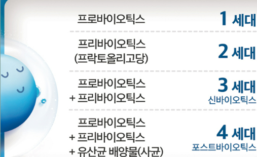 포스트바이오틱스 vs 프로바이오틱스 장 건강 면역 강화 핵심 차이점