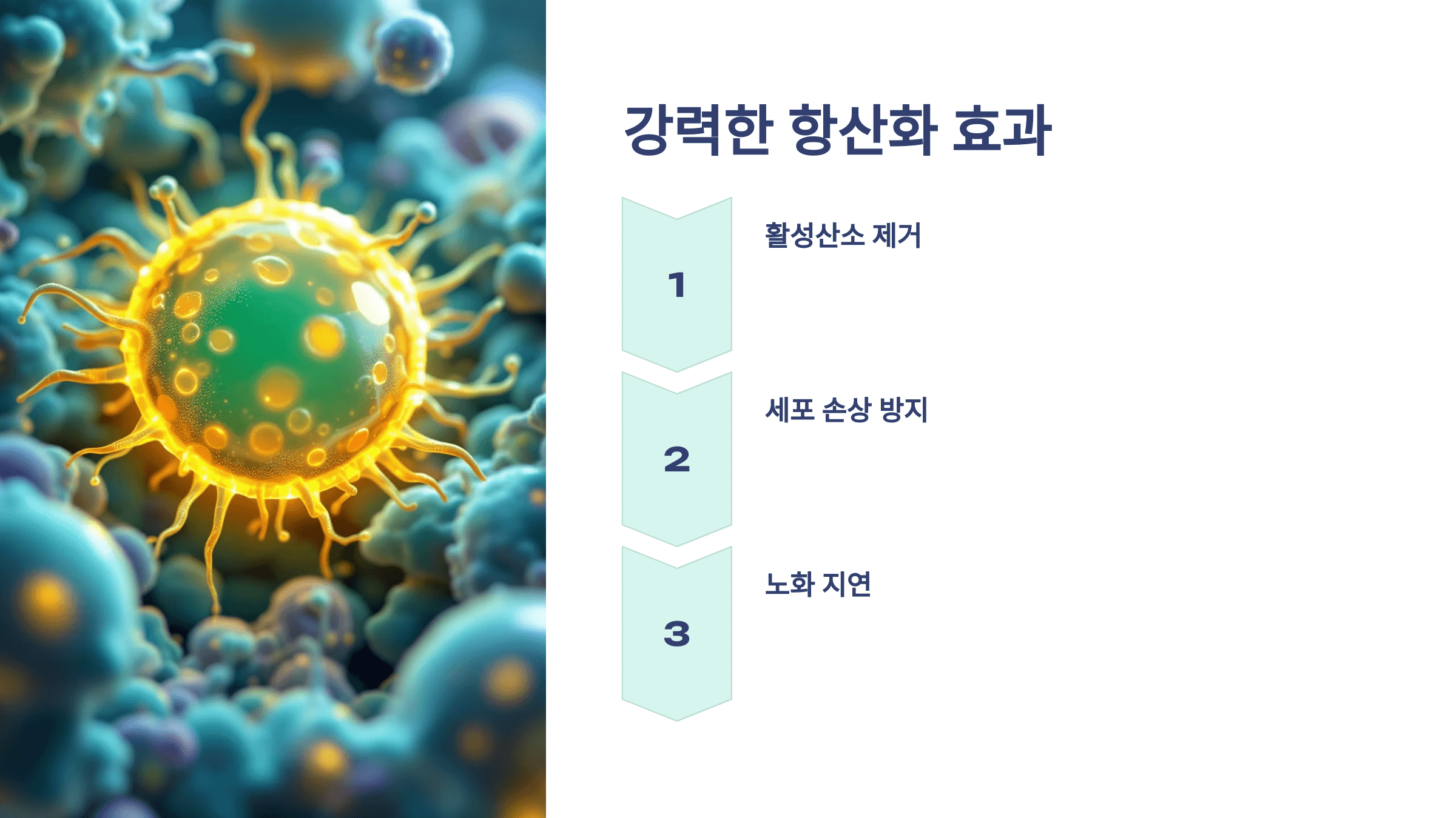 글루타치온과 관련된 사진입니다.