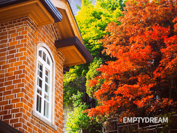 딜쿠샤 Dilkusha 앨버트 테일러 가옥