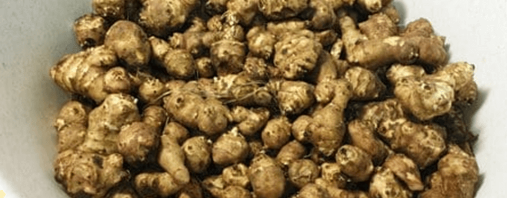 돼지감자차 효능: 당뇨, 다이어트, 시력보호